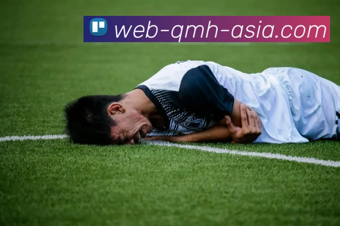 球盟会发展历程